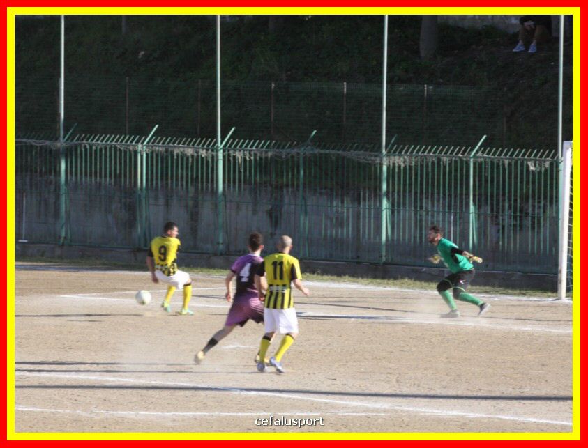 190310 Cephal_Torrenov 129_tn.jpg